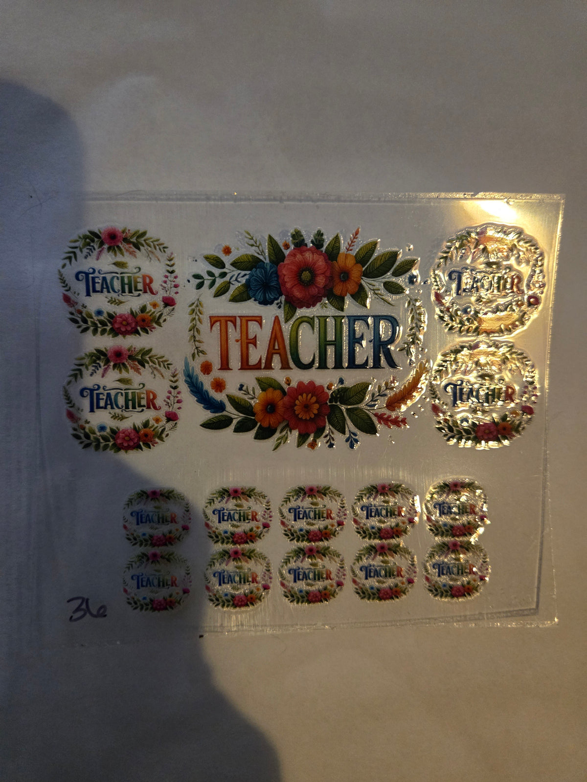 Teacher