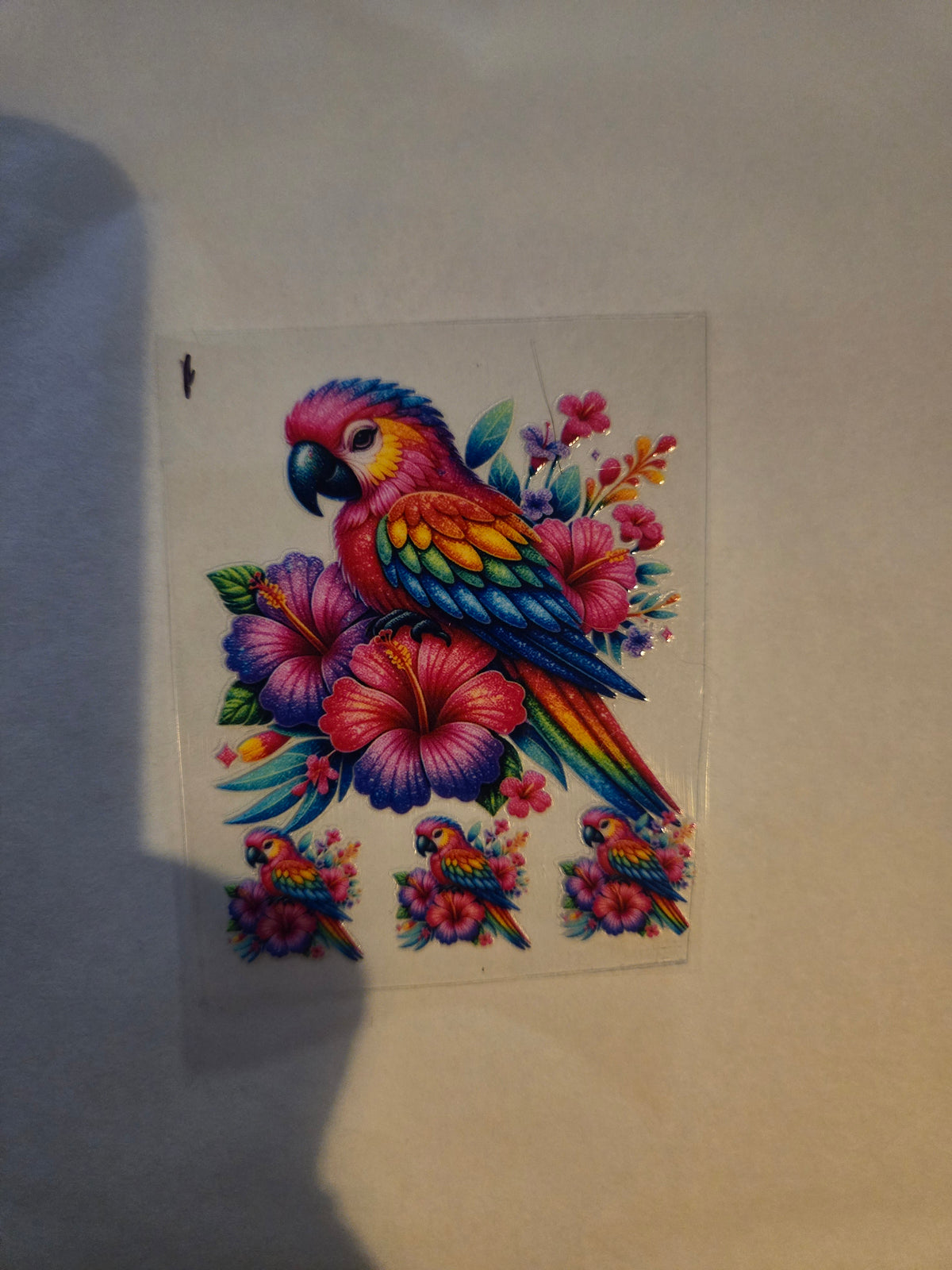 Parrot